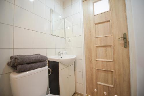 a bathroom with a toilet and a sink and a door at Bieszczady Smolnik Cottage 2 in Smolnik