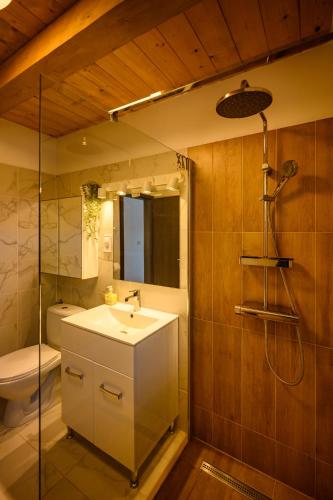 a bathroom with a sink and a toilet and a shower at Körös-parti Terasz Vendégház in Békésszentandrás