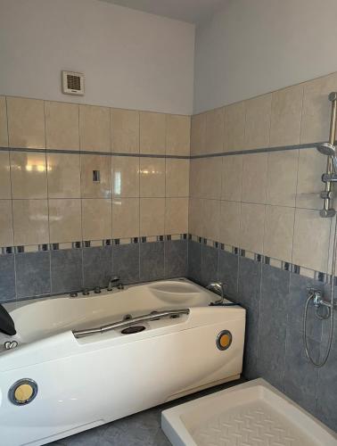 a white tub in a bathroom with a shower at Guest House Pulake in Berat