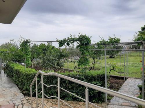 a garden with a metal railing and bushes at Rexhos Studios in Himare