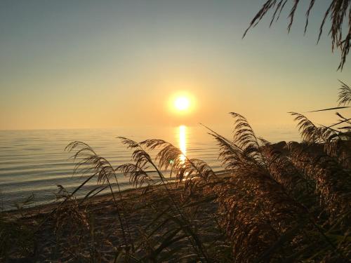 um pôr-do-sol sobre a água com uma praia e relva em Modern vacation Home - Close to sea and nature. em Hejls