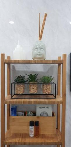 a shelf with three plants and a vase on it at Bowie's Abode in Sowerby Bridge