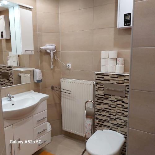 a bathroom with a toilet and a sink at Lenne-Blick Ferienwohnungen-Living Apartment in Finnentrop