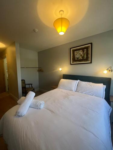 a bedroom with a large white bed with a light at Annie May's Bar, B&B in Skibbereen