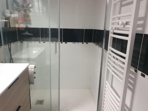 a bathroom with a glass shower and a sink at Appartement avec grand jardin in Labatut