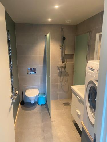 a bathroom with a toilet and a washing machine at Fristående hus 900m från havet in Falkenberg