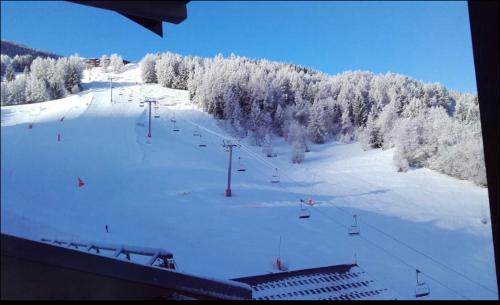 une piste de ski avec des arbres enneigés et une remontée mécanique dans l'établissement Le Bastion, à Landry