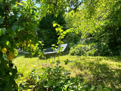 a park bench sitting in the middle of a field at Apartment Georgstor im Posthalterhof mit Sauna in Blankenheim