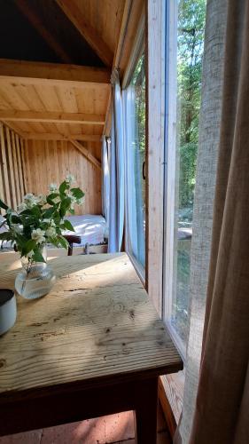 a room with a window and a plant on a table at Na seně in Kozlovice