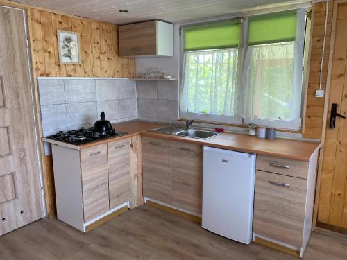 eine kleine Küche mit Herd und Spüle in der Unterkunft Bieszczady Smolnik Cottage in Smolnik
