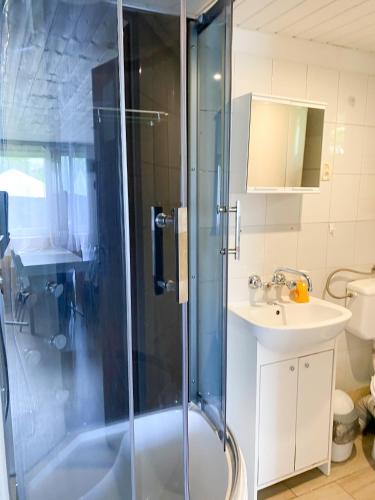 a bathroom with a shower and a sink at Bieszczady Smolnik Cottage in Smolnik