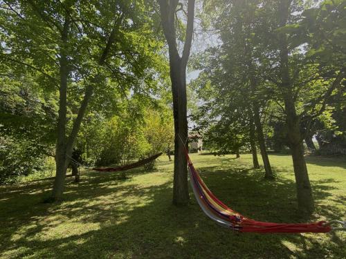a hammock in the middle of a park with trees at Domaine de Lanis - Maison d'hôtes avec parc et piscine in Castelnaudary