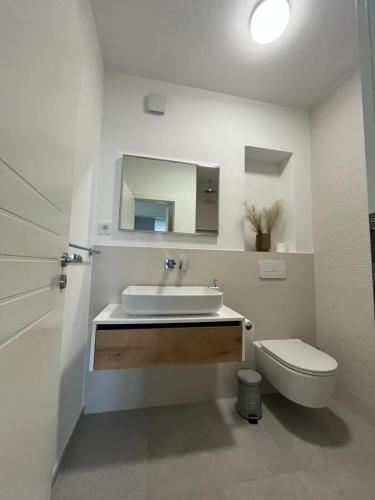 a bathroom with a sink and a toilet and a mirror at Haus Dalmatia with heated Pool in Bibinje