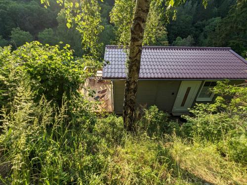 a small house in the middle of a forest at Ruhiges Ferienhaus mit Sauna: Hellaberg III in Langenbach