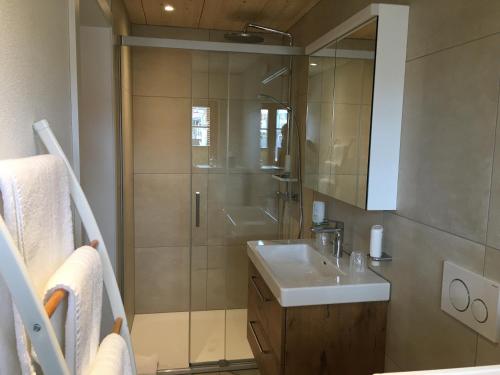 La salle de bains est pourvue d'un lavabo et d'une douche avec un miroir. dans l'établissement Dorf Hotel "Zuhause in Lachen", à Lachen