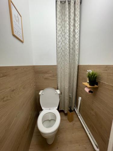 a bathroom with a toilet and a shower curtain at Appartement 6 couchages, Tout confort, pieds des pistes in Montclar
