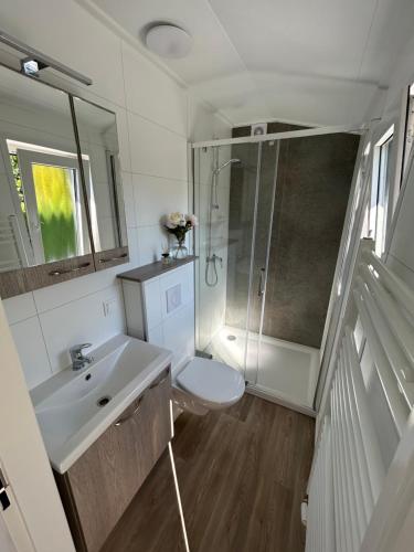 a bathroom with a toilet and a sink and a shower at Breezy Beach Chalet in Petten