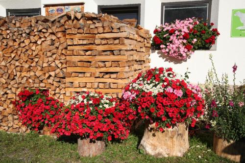 Zahrada ubytování Landhaus Winkl