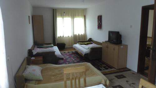 a living room with two beds and a tv at Guest house Pribojska Banja in Pribojska Banja