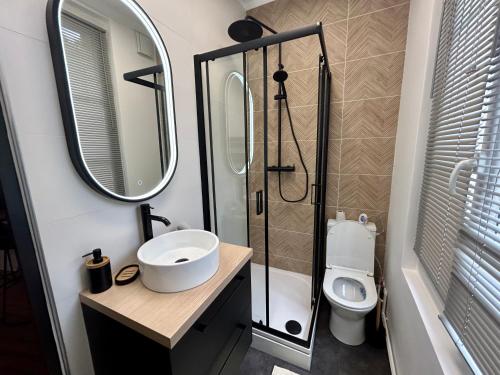 La salle de bains est pourvue de toilettes, d'un lavabo et d'une douche. dans l'établissement Le Saint-André, Gare de Rouen, à Rouen