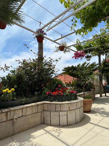 a garden with flowers and plants in a greenhouse at Apartments Lomara in Dubrovnik