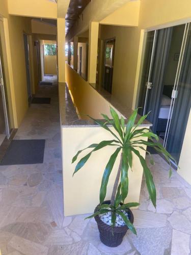 a potted plant in a hallway of a building at Descanso do Jordão in Abraão