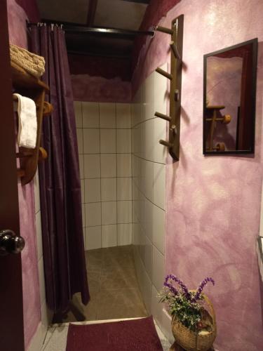 a bathroom with pink walls and a shower with a plant at BIOSFERA LODGE GLAMPING tipi 2 personas in Oxapampa