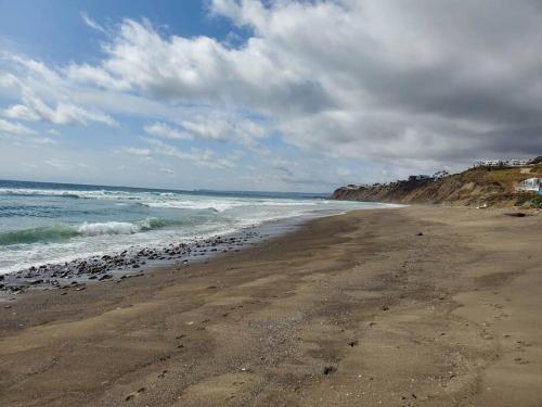 a beach with a bunch of birds on the sand at Majestic Beachfront Hideaway in Alisitos