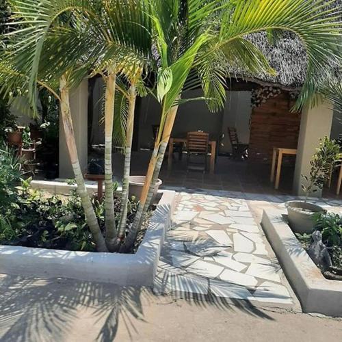 a courtyard with two palm trees and a building at camila guest house in Rundu