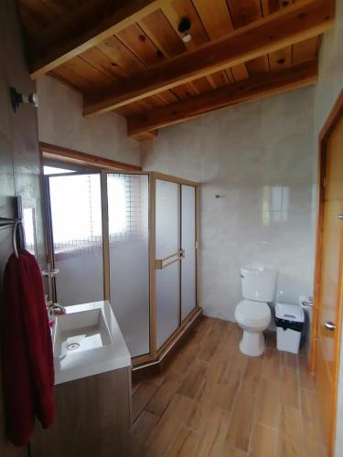 クリルにあるCabaña los peñascosのトイレと洗面台付きのバスルーム