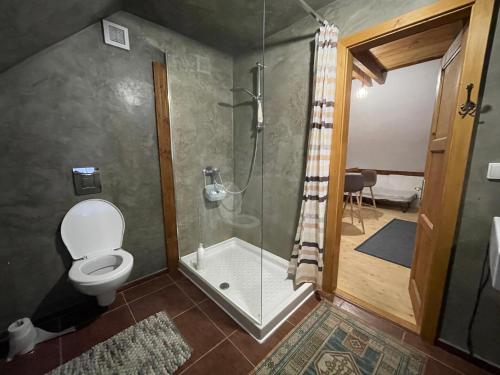 ein Bad mit Dusche, WC und Glastür in der Unterkunft Cesky Krumlov centrum ap 6 in Český Krumlov