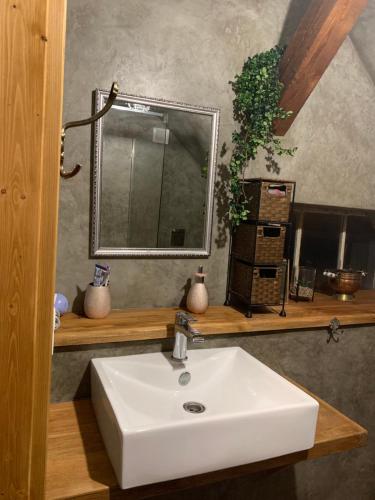a bathroom with a sink and a mirror on a shelf at Cesky Krumlov centrum ap 6 in Český Krumlov