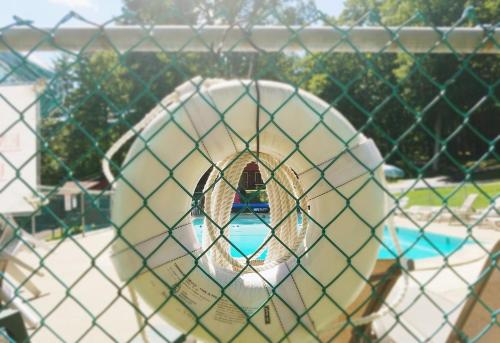 a polar bear in a cage next to a swimming pool at The Gold Eagle in Lake George