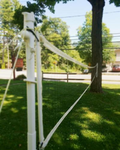 a white rope tied to a tree in a yard at The Gold Eagle in Lake George