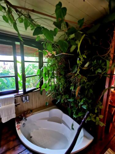 a bathroom with a tub with plants on the wall at Hôtel Fenua Mata'i'oa in Papetoai