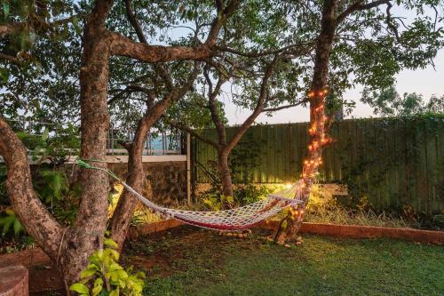 a hammock hanging from a tree in a yard at Emilia Villa by VEO - Part of StayVista in Mahabaleshwar