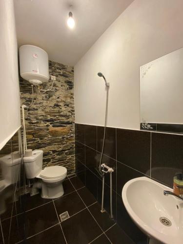 Un baño de Guesthouse SVANURI SAKHLI