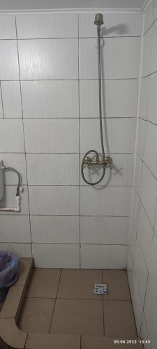 a shower in a tiled bathroom with a box at Stuffstock Hostel in Sulina
