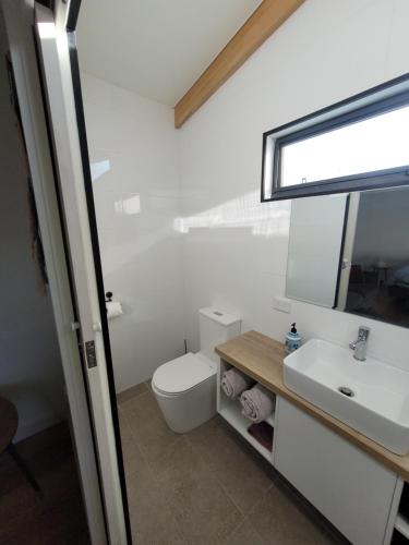 bagno con servizi igienici, lavandino e specchio di Bayside Bungalow a Cheltenham
