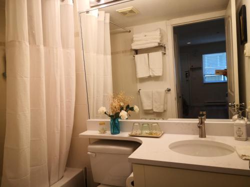 a bathroom with a sink and a toilet and a mirror at Coquitlam center, 2 bedroom suite, walking to skytrain in Port Coquitlam