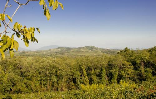 a view of a field with trees and hills at Elliot Osteria e dormire in collina in Manzano