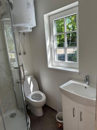 Gallery image of Melluži tiny house 35m2 in Jūrmala