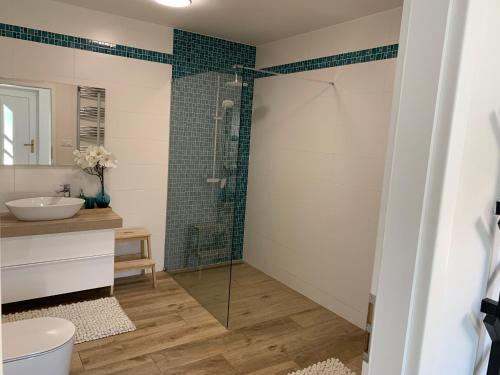 a bathroom with a shower and a sink at Apartmán Květinová zahrada in Prague