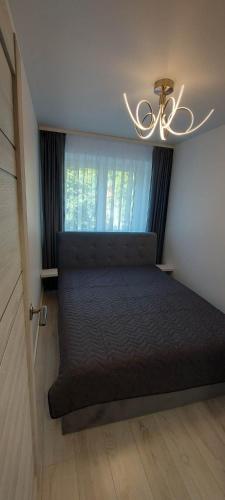 1 dormitorio con 1 cama con lámpara de araña y ventana en Trumpalaikė apartamentų nuoma centre (Vytauto g.) en Šiauliai