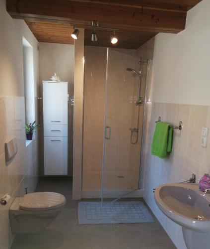 a bathroom with a shower and a toilet and a sink at Gartenblick in Brotterode-Trusetal
