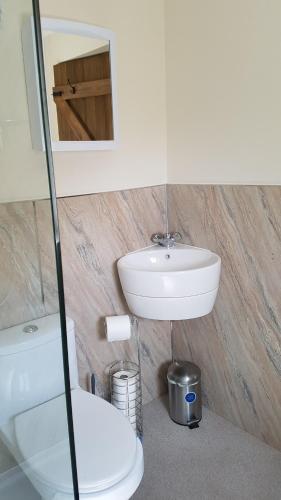 a bathroom with a toilet and a sink at Pet Friendly Beautiful Detached Cottage close to Spurn Point, Easington and Withersea in Hull