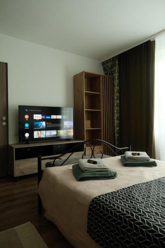 Un dormitorio con una cama y un televisor de pantalla plana. en Godspeed Artist's Getaway, en Baia Mare