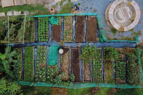 an aerial view of a garden with trees and vines at Sol Valley - Hideaway Station in Blao Srê