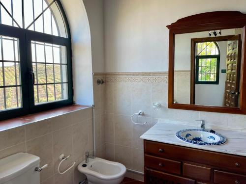 ein Badezimmer mit Waschbecken, Toilette und Spiegel in der Unterkunft Cortijo Doñana in La Puebla de Cazalla