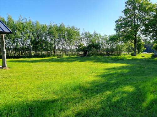 Taman di luar IEVKALNI